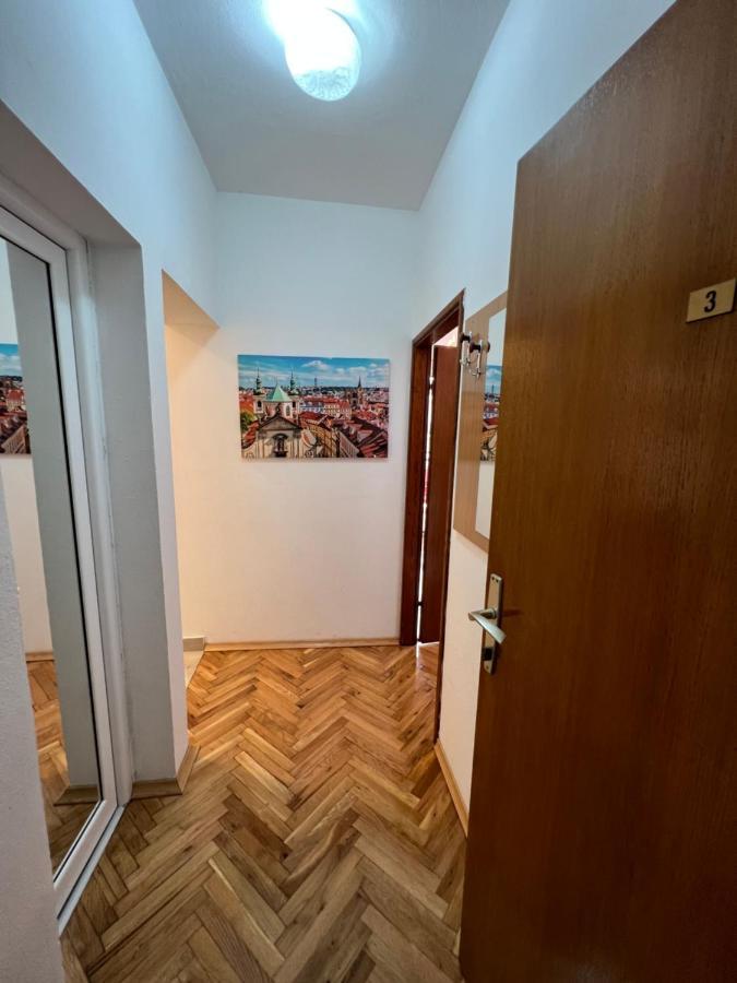 Ksenia And Apartment Budva